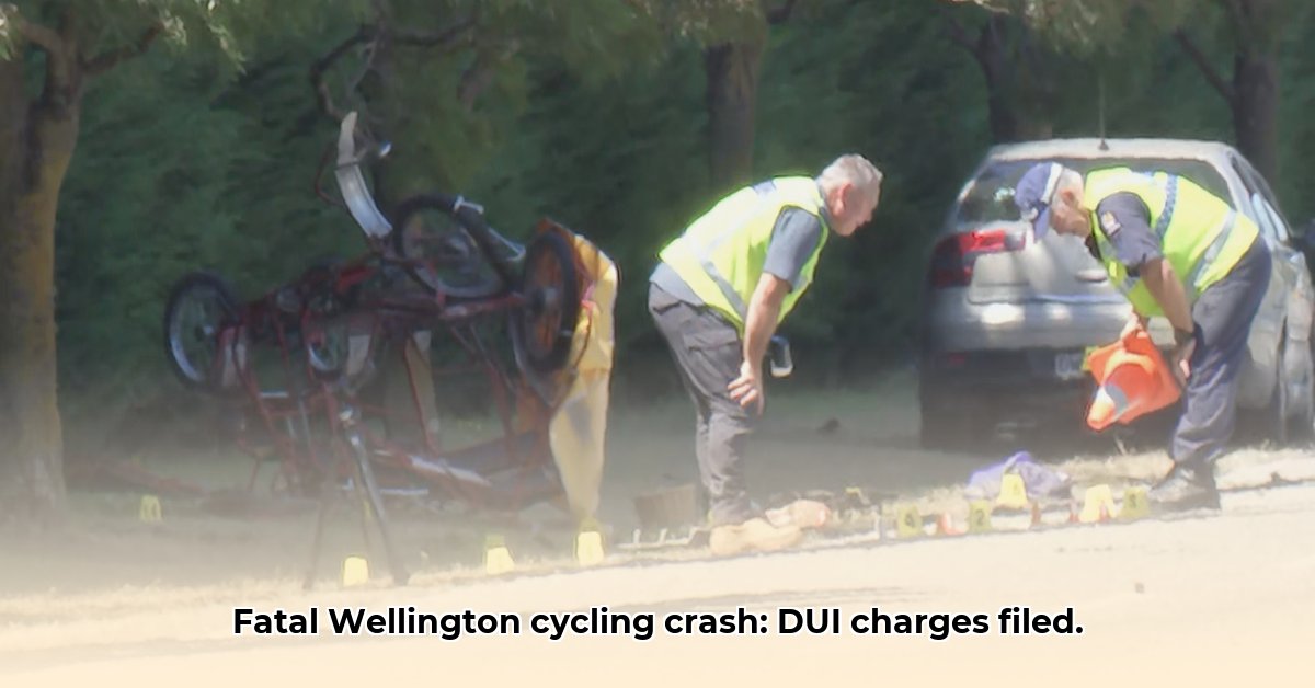 wellington-cyclist-dui-crash
